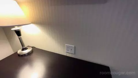King Room (#313) picture #18