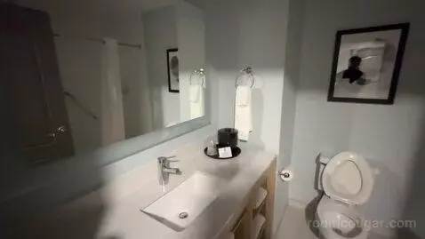 King Room with Sofabed (#201) bathroom picture #1