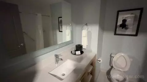 King Room with Sofabed (#201) bathroom picture #2