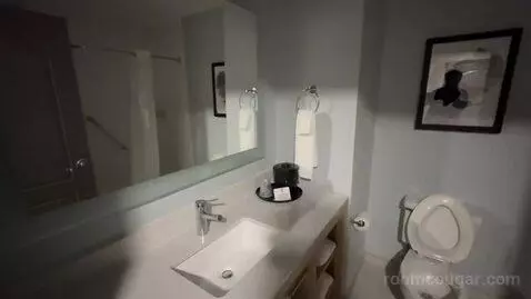 King Room with Sofabed (#201) bathroom picture #3