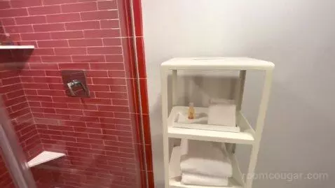 Park Mgm King (#310) bathroom picture #9