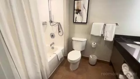 King Room (#743) bathroom picture #1