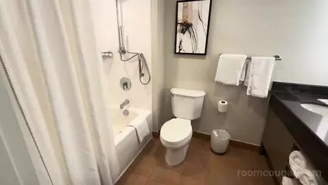 King Room (#743) bathroom picture #2