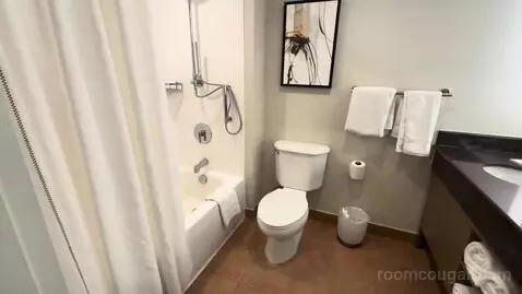 King Room (#743) bathroom picture #3