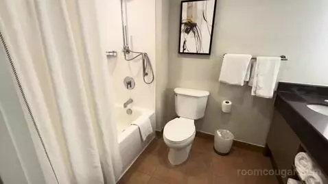 King Room (#743) bathroom picture #4