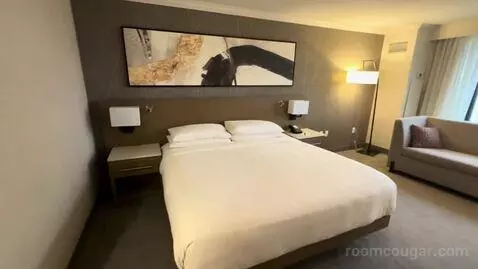 King Room (#743) bed picture #6