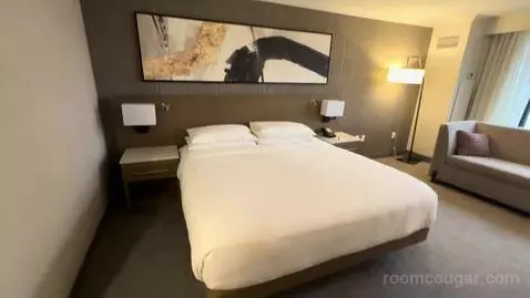 King Room (#743) bed picture #8