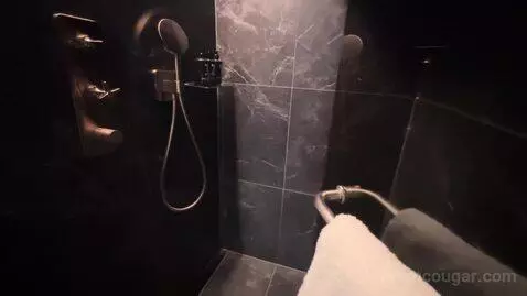 Premium King Room (#1813) bathroom picture #2