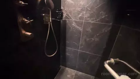 Premium King Room (#1813) bathroom picture #6