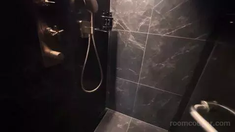 Premium King Room (#1813) bathroom picture #7