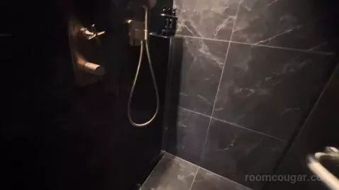 Premium King Room (#1813) bathroom picture #8