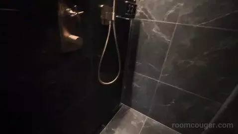 Premium King Room (#1813) bathroom picture #9