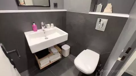 Moxy Sleeper Queen (#322) bathroom picture #1