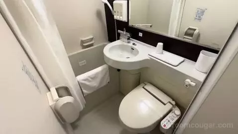 Single Room (#212) bathroom picture #2