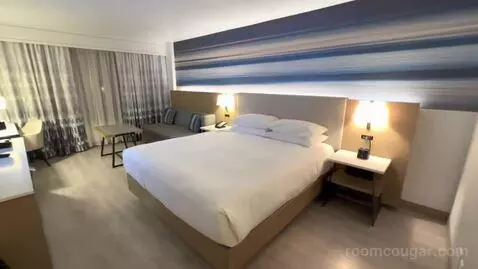 King Room (#1427) view picture #9