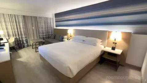 King Room (#1427) view picture #10