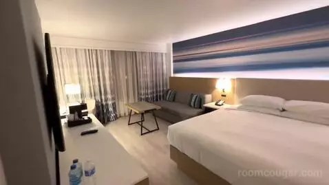 King Room (#1427) view picture #8
