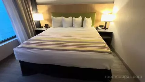 Studio King Suite (#207) bed picture #2