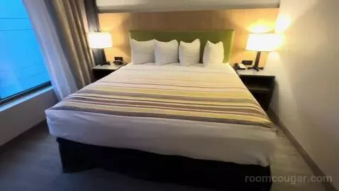 Studio King Suite (#207) bed picture #4