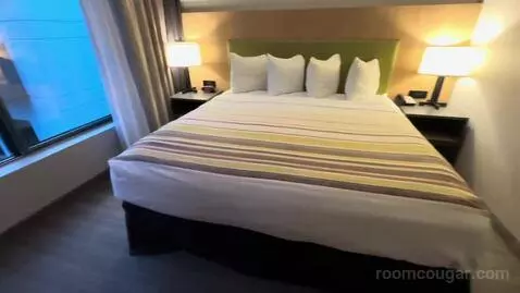 Studio King Suite (#207) bed picture #7