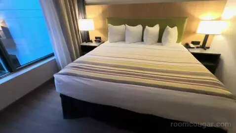 Studio King Suite (#207) bed picture #8