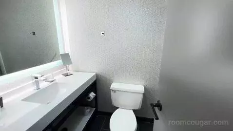 King Room bathroom picture #3
