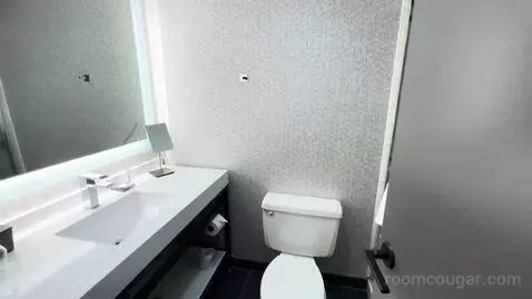 King Room bathroom picture #4