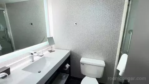 King Room bathroom picture #6