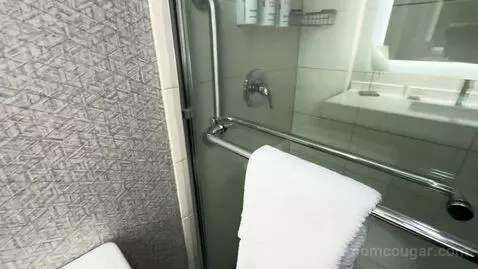 King Room bathroom picture #7
