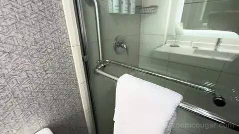 King Room bathroom picture #8