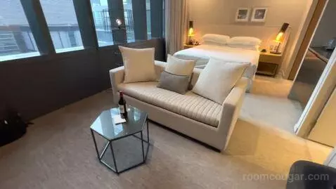 Superior King Room (#1419) picture #4