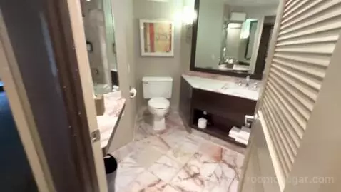 King Suite (#236) bathroom picture #1