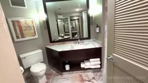 King Suite (#236) bathroom picture #9