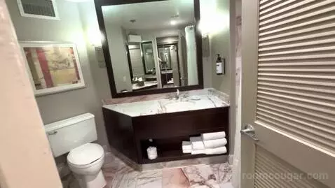 King Suite (#236) bathroom picture #10