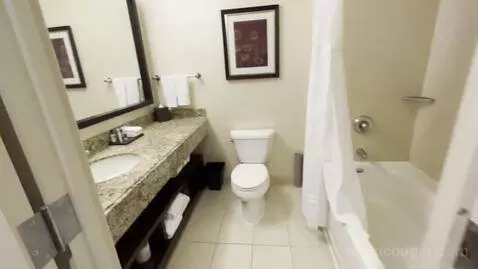 One Bedroom King Suite (#854) bathroom picture #10