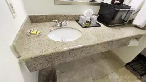 King Room (#237) bathroom picture #2