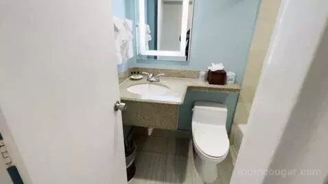 King Room (#407) bathroom picture #1