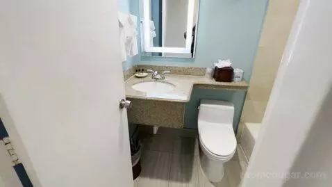King Room (#407) bathroom picture #2
