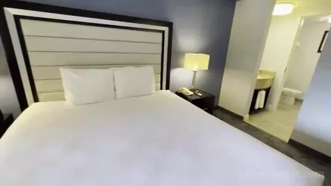 One-Bedroom King Suite with Sofa Bed and Courtyard View (#217) bed picture #4