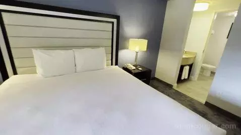 One-Bedroom King Suite with Sofa Bed and Courtyard View (#217) bed picture #5