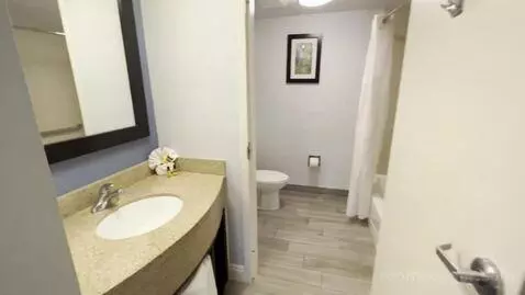 One-Bedroom King Suite with Sofa Bed and Courtyard View (#217) bathroom picture #5