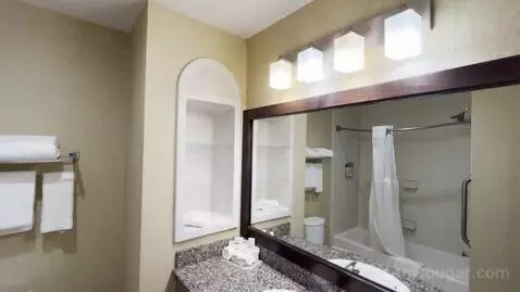 King Studio Suite with Microwave and Fridge (#311) bathroom picture #1