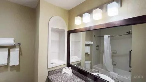 King Studio Suite with Microwave and Fridge (#311) bathroom picture #2