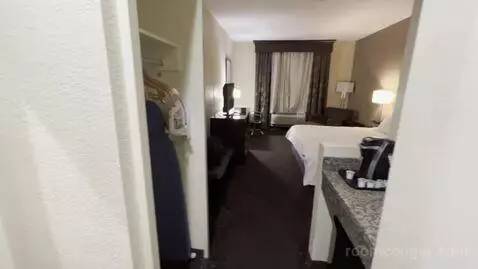 King Studio Suite with Microwave and Fridge (#311) bed picture #4