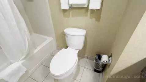 King Studio Suite with Microwave and Fridge (#311) bathroom picture #8