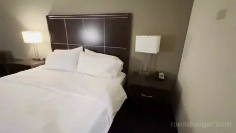 King Studio Suite with Microwave and Fridge (#311) bed picture #7