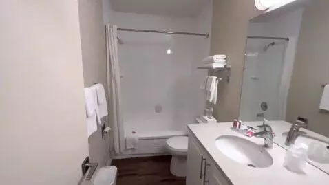 Queen Room with Two Queen Beds (#433) bathroom picture #7