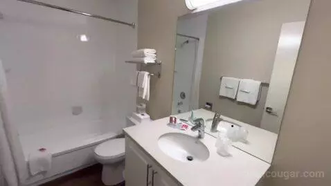 Queen Room with Two Queen Beds (#433) bathroom picture #12