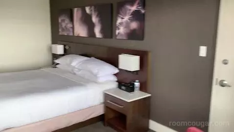 Deluxe King Room with Water View (#640) bed picture #10