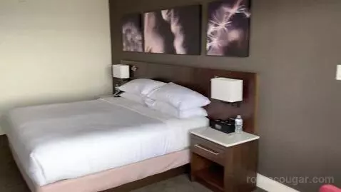 Deluxe King Room with Water View (#640) bed picture #12